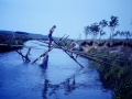 1989_Gels_aa