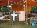 2011_CDE11_a